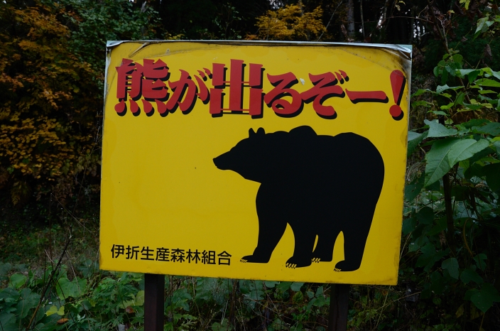a0263952_19271489.jpg