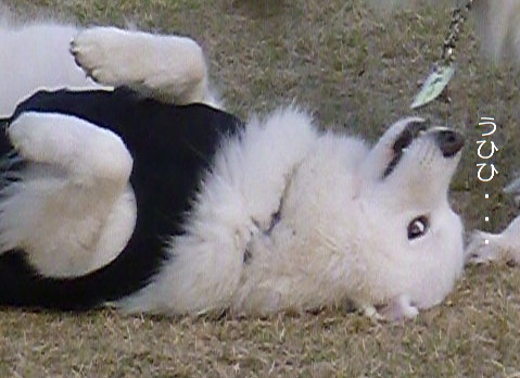 a0166954_033299.jpg