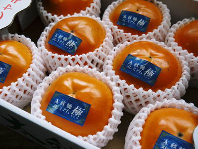 太秋柿 古川果樹園 プレミアムのさらに上!「極(きわみ)」販売中!_a0254656_188359.jpg