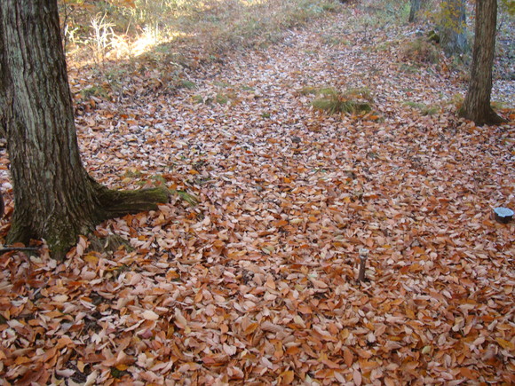 f0198556_22172546.jpg
