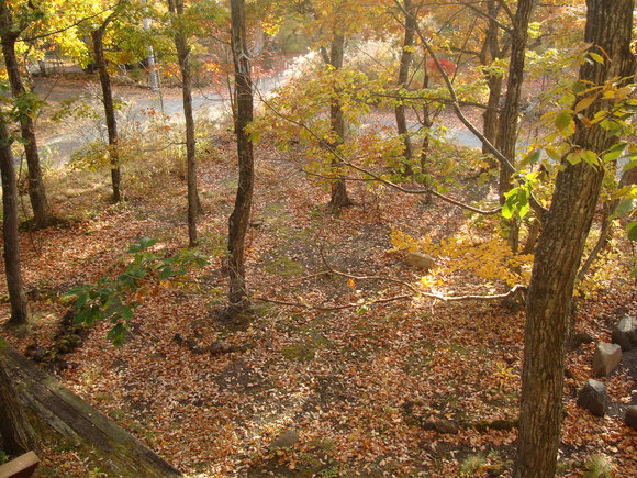 f0198556_22174861.jpg