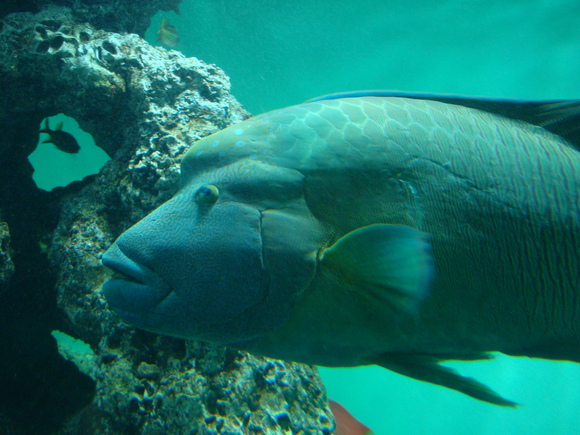 f0198556_232555.jpg
