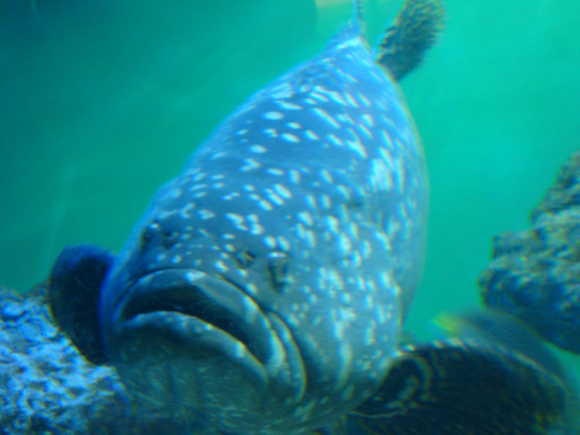 f0198556_2331210.jpg