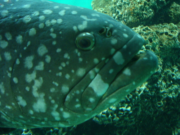 f0198556_2335276.jpg