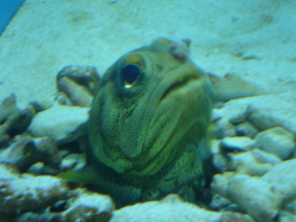 f0198556_234208.jpg