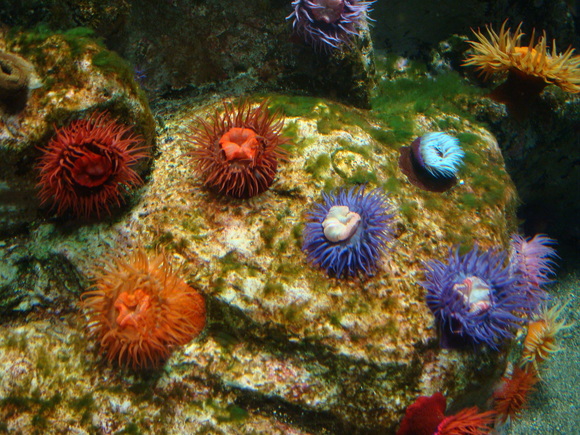 f0198556_238656.jpg