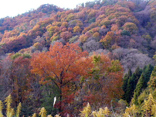 b0129962_18424648.jpg