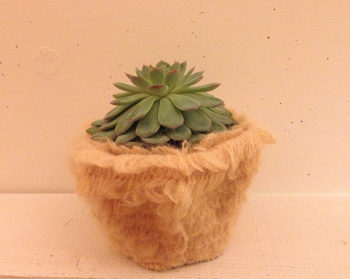 「 動植物とおどる人 」GALLERYガラスのピラミッド_b0151262_19303977.jpg