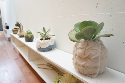 「 動植物とおどる人 」GALLERYガラスのピラミッド_b0151262_19391282.jpg