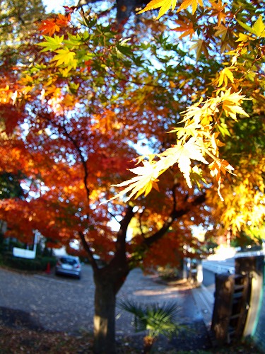 b0180764_0272696.jpg