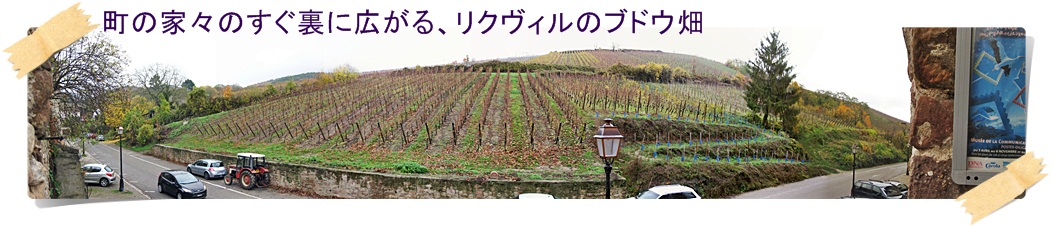 a0052666_142416.jpg