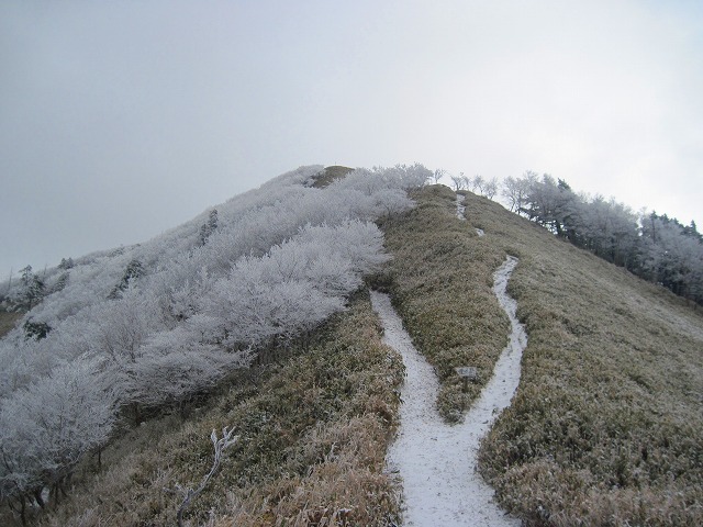 2012.11.27　一ノ森～剣山_c0219866_1601027.jpg