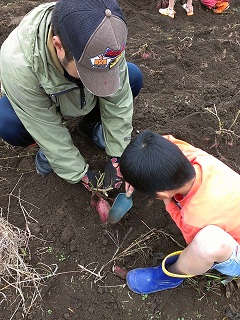 芋堀り～♪_f0209271_16395423.jpg