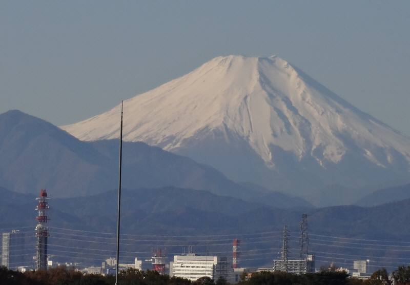 f0059673_5481896.jpg