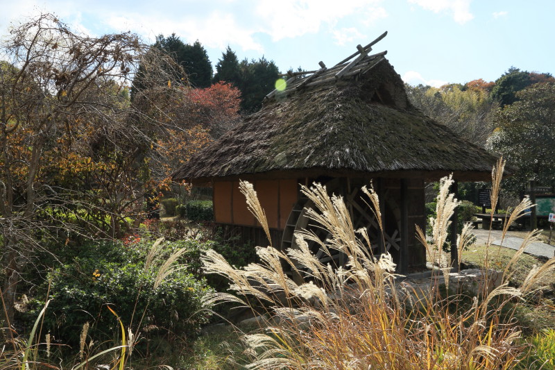 続・八塔寺　_c0148777_2057451.jpg