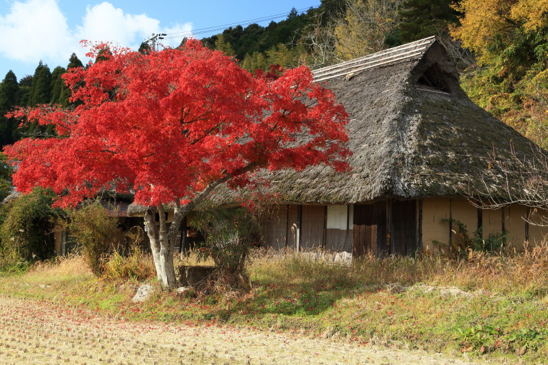 続・八塔寺　_c0148777_2057628.jpg