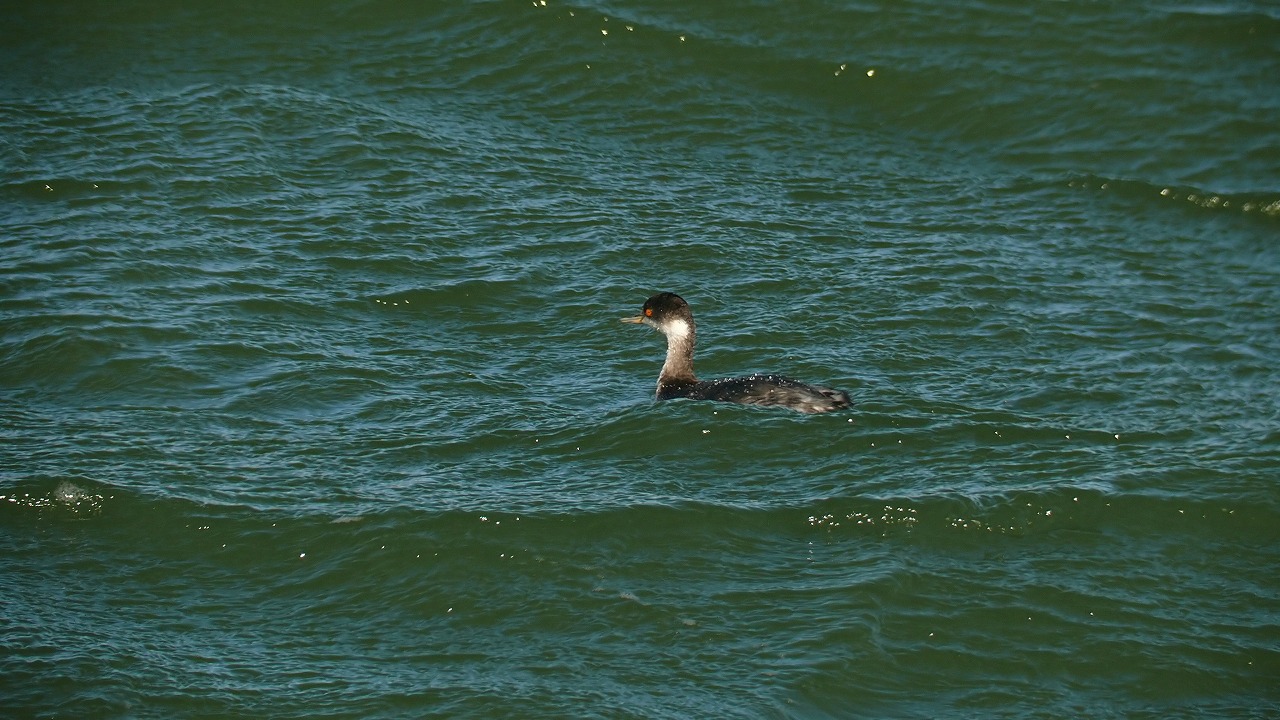 a0185081_18501.jpg