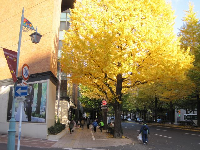 11/21 今週の530(ゴミゼロ)清掃活動_b0245781_17271943.jpg