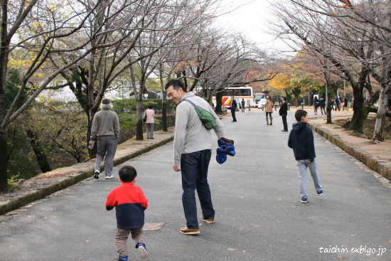 2012年11月17.18日　熊本・阿蘇の旅　1日目_d0078884_22591920.jpg