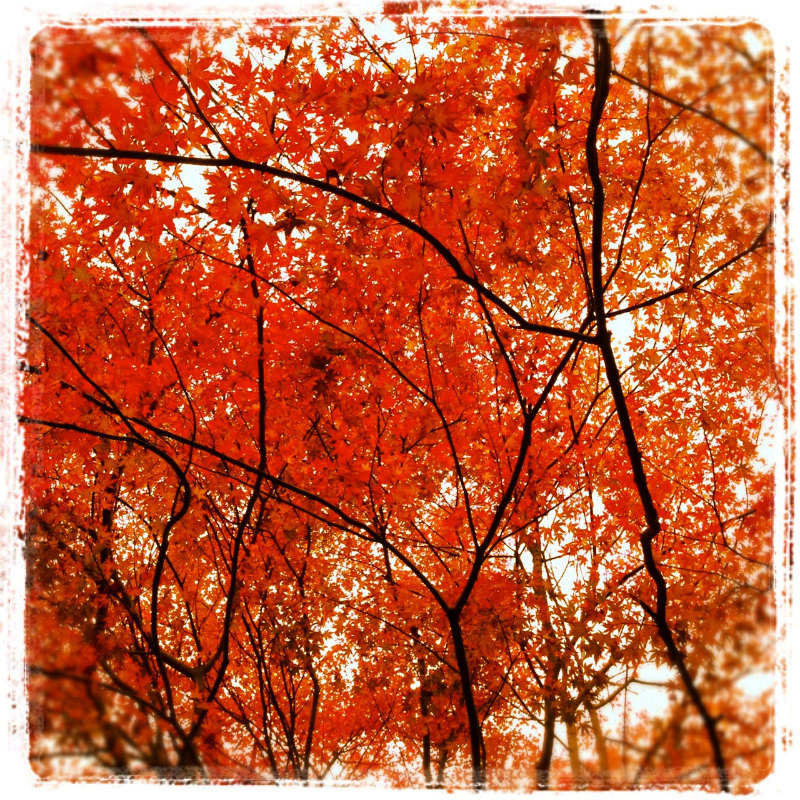 芦屋ロックガーデン+荒地山トレイルセッション 2012/11/22-24 _b0220886_2305264.jpg