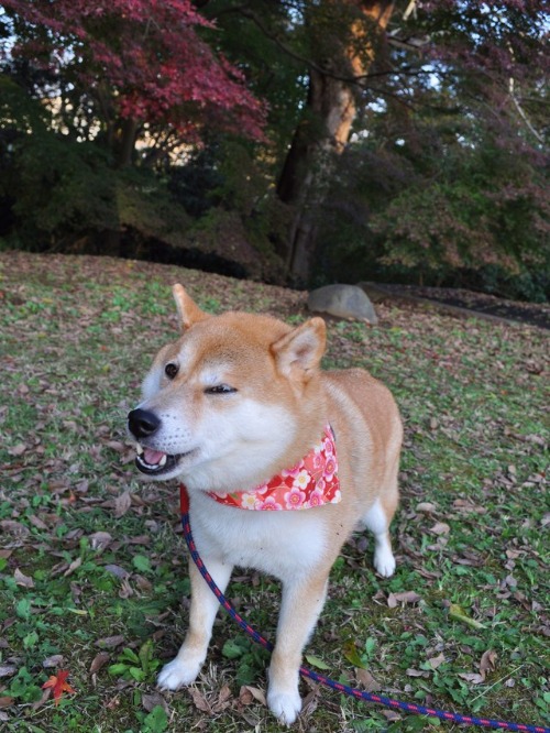食いしん坊_a0126590_23194845.jpg