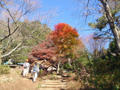 d0034291_2135240.jpg