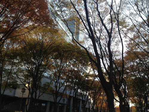 a0250494_1122056.jpg