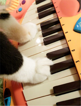 【にゃんこピアノ♪】アーティスティックな贈物ッ_d0224894_16234231.jpg