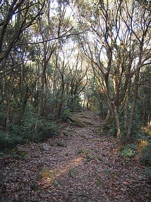 e0198197_1635187.jpg