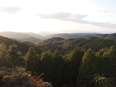 e0198197_1639227.jpg