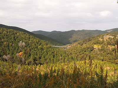 e0198197_1651124.jpg