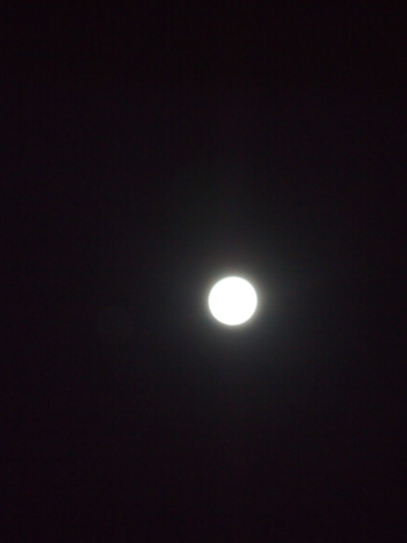 d0241401_2335950.jpg