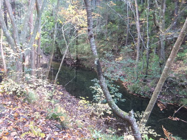 a0271502_14205399.jpg
