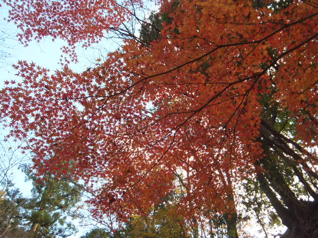 a0271502_14401625.jpg