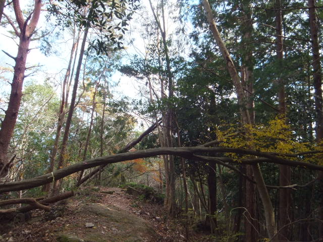 a0271502_915328.jpg