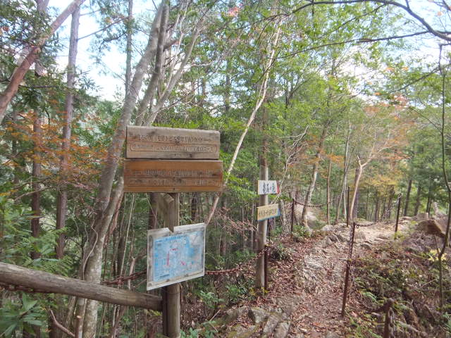 a0271502_9183252.jpg