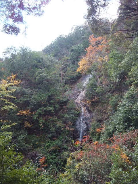 a0271502_9273392.jpg