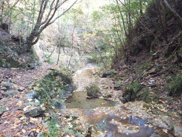 a0271502_9333855.jpg