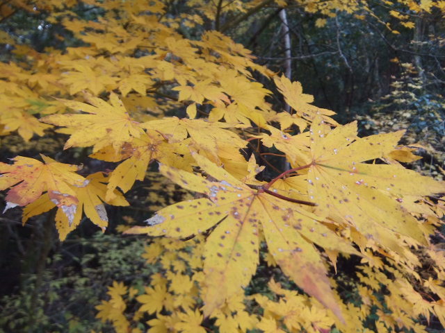 a0271502_9421249.jpg
