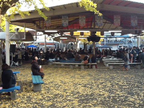 第2回東京蚤の市を終えて_c0129702_22512037.gif