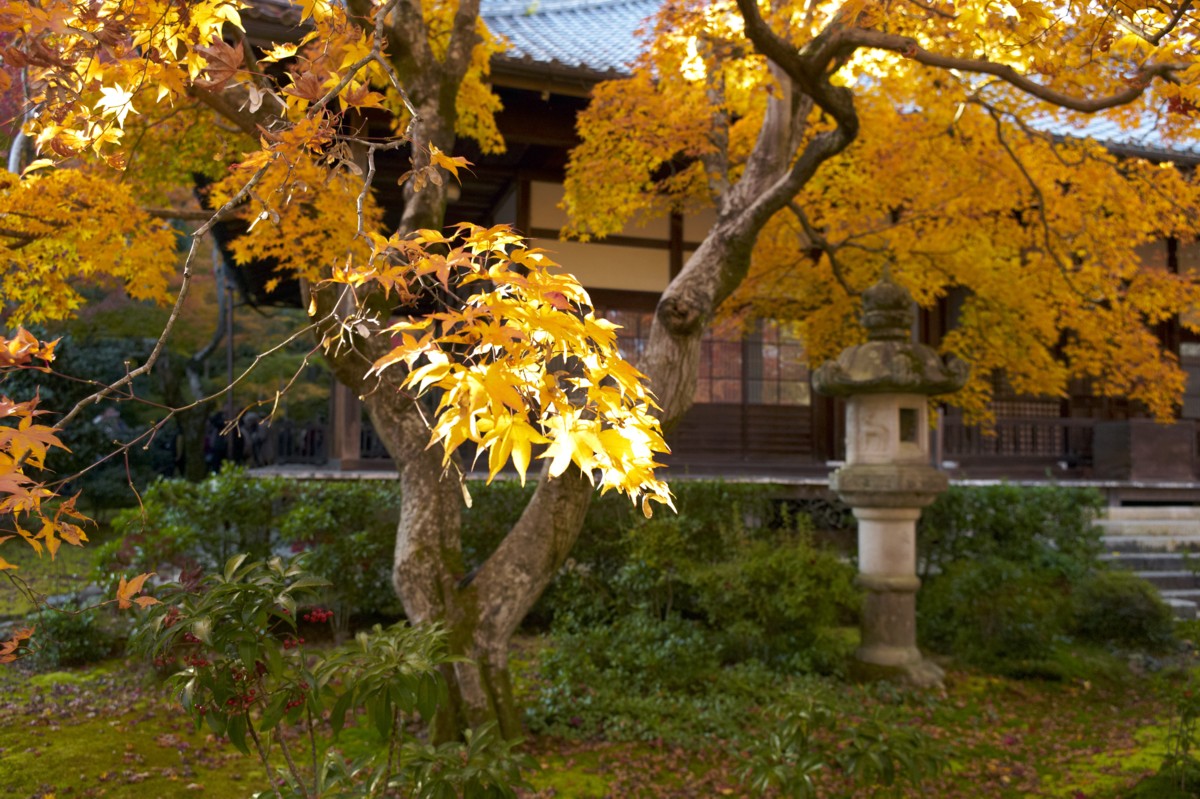 嵯峨野、小倉山山麓を歩く　－　常寂光寺_c0156404_9303919.jpg