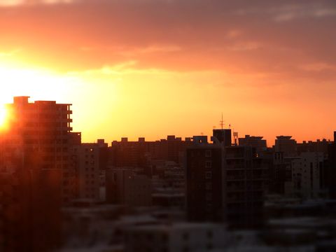 e0117805_1225287.jpg