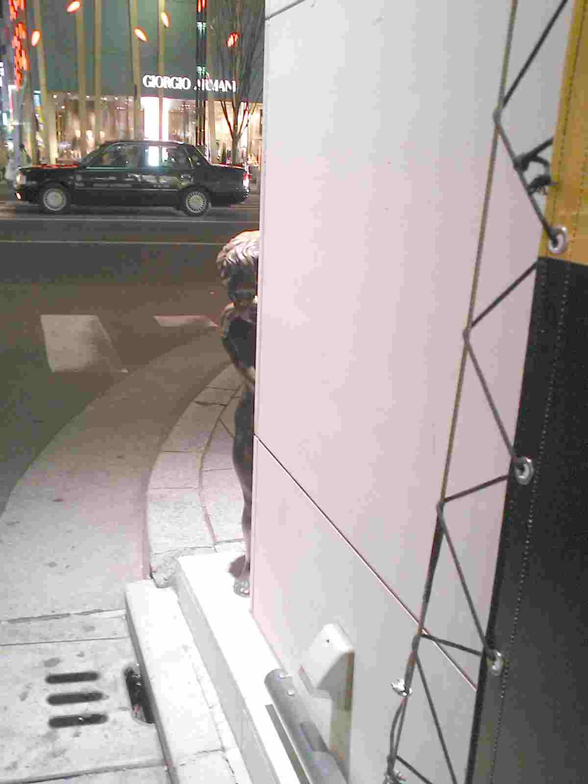 a0288706_512561.jpg