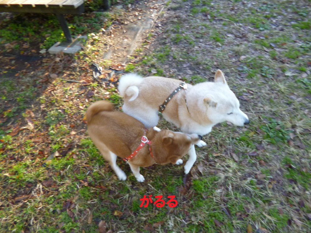 e0131506_9594282.jpg