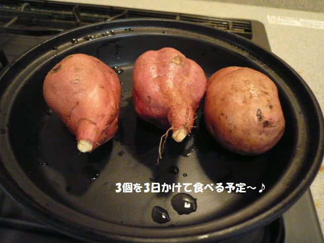 e0094407_17452596.jpg