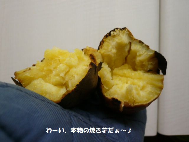 e0094407_17503761.jpg