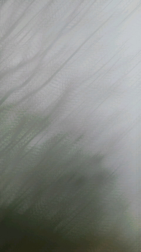 天候不順_f0155808_135455.jpg