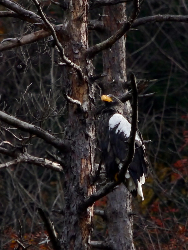 f0235311_2123193.jpg