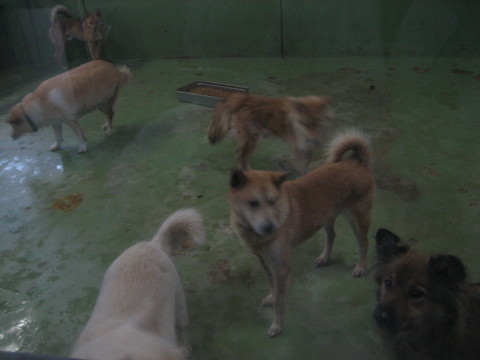 f0121712_14451942.jpg