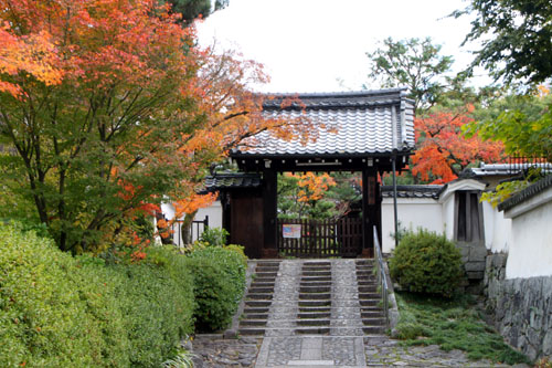 紅葉だより58 建仁寺 西来院_e0048413_21571068.jpg